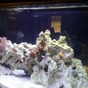 20180520_181140.jpg