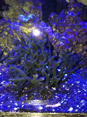 IMG_0352.jpg