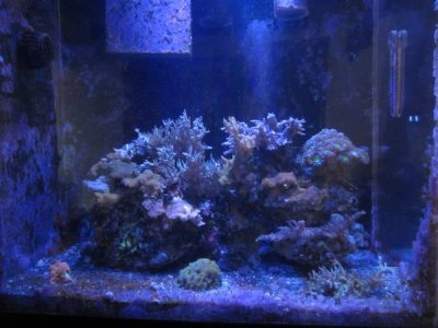 Aquarium Pic.jpg