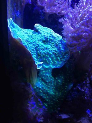 IMG_6413.jpg