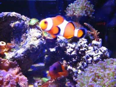IMG_0629_1.JPG
