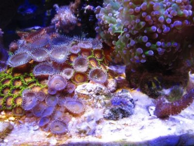 IMG_0633_1.JPG
