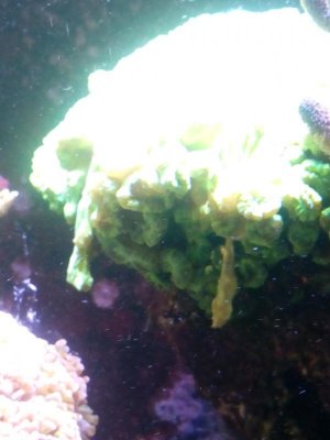 IMG_20180525_195200.jpg
