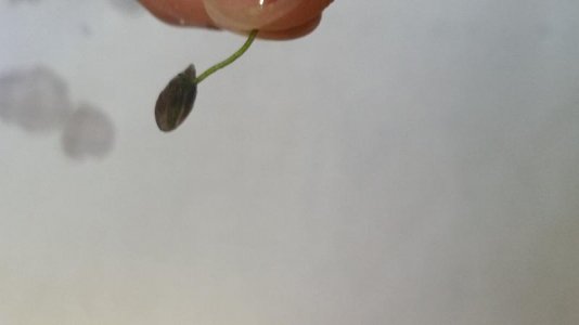 20180404_155355.jpg