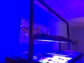 IMG_0295.JPG