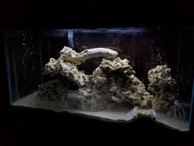 20180404_211113.jpg