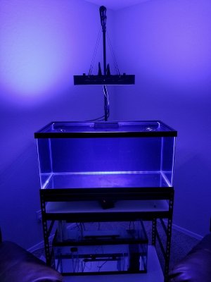 20180525_085005_resized.jpg