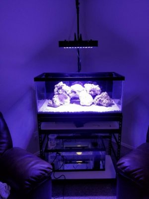 20180526_201853_resized.jpg