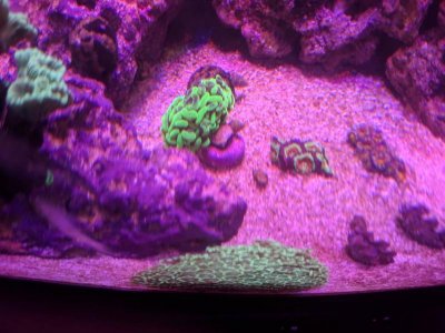 IMG_20180527_202413.jpg
