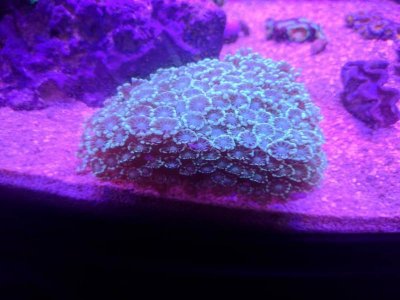 IMG_20180527_202229.jpg