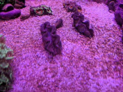 IMG_20180527_202342.jpg