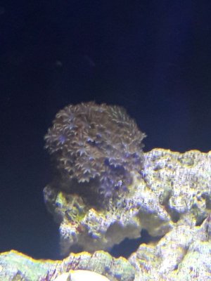 20180408_194428-02.jpeg