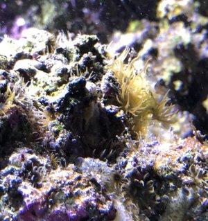 Screen Shot 2018-04-09 at 6.32.11 PM.jpg