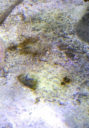 Screen Shot 2018-04-09 at 6.32.29 PM.jpg