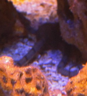 0531181044 - Edited.jpg 0531181044 - Edited.jpg