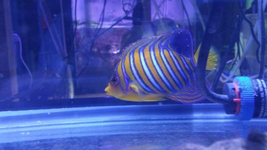 20180530_202921[1].jpg