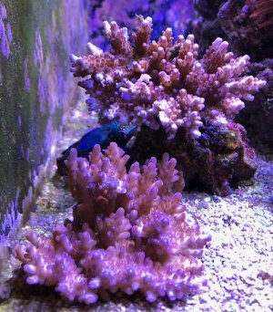 IMG_2342.jpg
