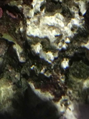 IMG_0593.jpg