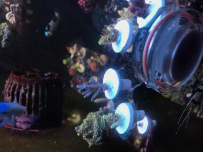 C3BB8331-1E86-4957-98FA-1DD4E8AF1E1D.jpg