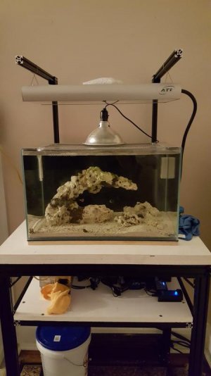 20180322_002715.jpg