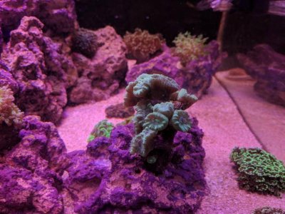 IMG_20180411_191145.jpg