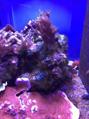 IMG_0434.jpg