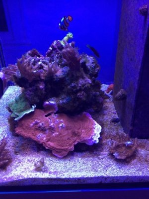IMG_0435.jpg
