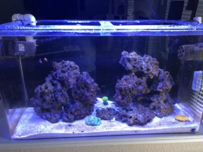 Aquarium-1 03-21-2018_sm.jpg