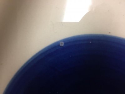 ECD1F5AA-A8D1-418C-91AC-1BB99B4866F5.jpg