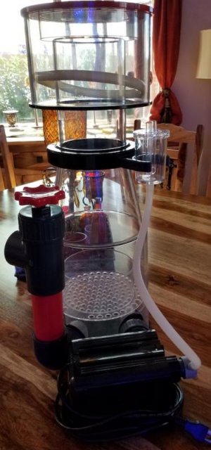 Skimmer 1.jpg