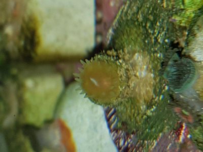 20180604_211036.jpg