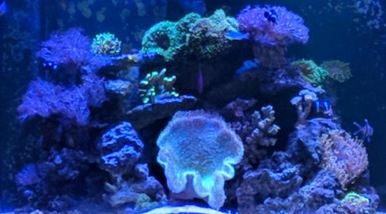 MVIMG_20180625_124110.jpg