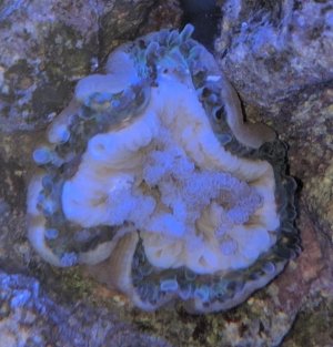 nem in the morning (2).jpg