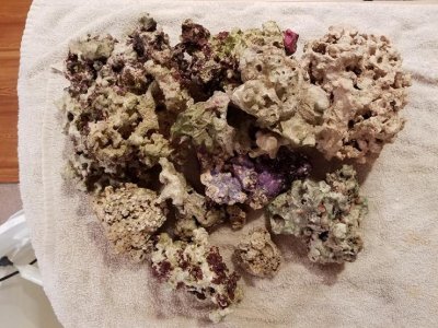 20180616_012251.jpg