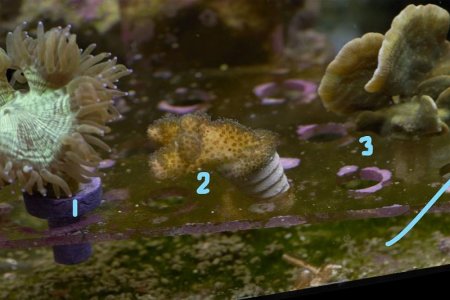 _WST9124 (sm)_LI.jpg