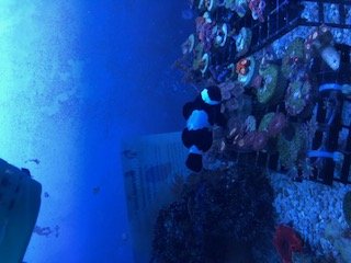 IMG_1480 (1).jpg