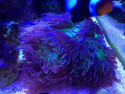 IMG_4749.jpg