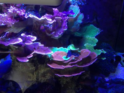 IMG_4827.jpg