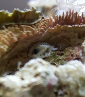 20180630_232634.jpg