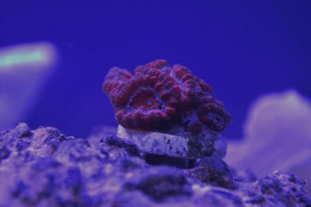 PXZ_0522.jpg