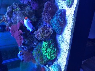 IMG_1525 (2).jpg