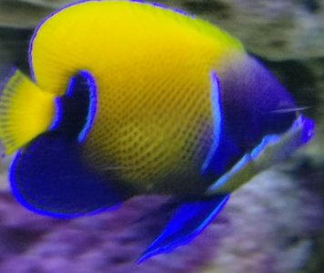 IMG-20180613-WA0016_01.jpg