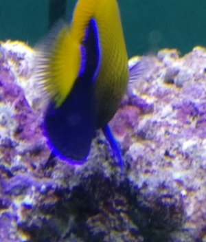 IMG-20180613-WA0017_01.jpg