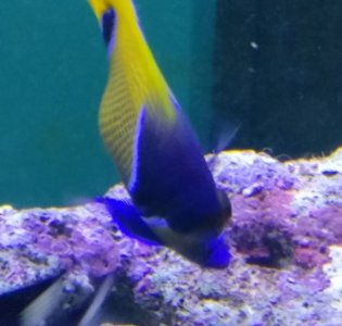IMG-20180613-WA0019_01.jpg