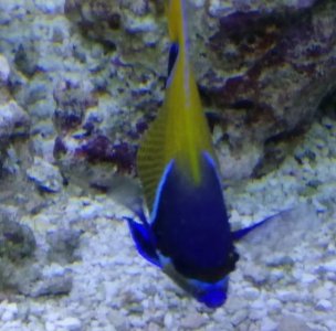 IMG-20180613-WA0021_01.jpg