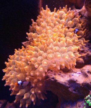 0317181809h-1 - Edited (1).jpg 0317181809h-1 - Edited (1).jpg