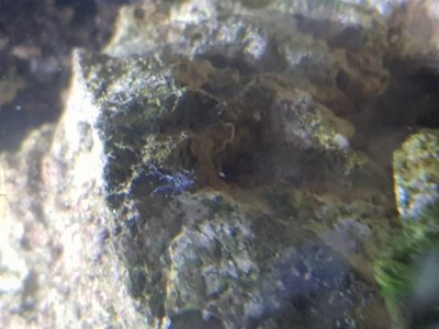 20180707_132317.jpg