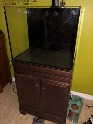 IMG_0877.jpg