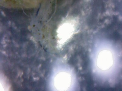 20180707_193718.jpg