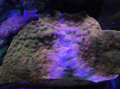 IMG_5328.jpg